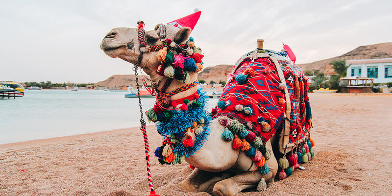 Sharm El Sheikh Turu Yılbaşı Özel Türk Havayolları ile 5 Gece 6 Gün