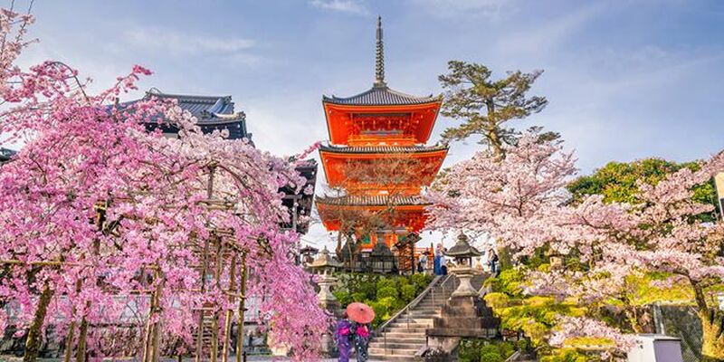 Görkemli Uzaklar  Hong Kong & Japonya 7 Gece - THY ile 26 Eylül (2026 Yaz Dönemi) (HKG-NRT)