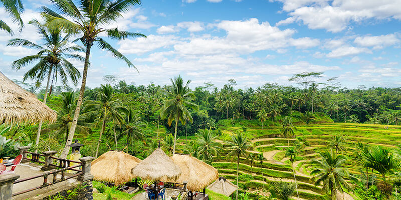 Elegant Bali Turu - THY ile - 5 Gece (DPS-DPS)