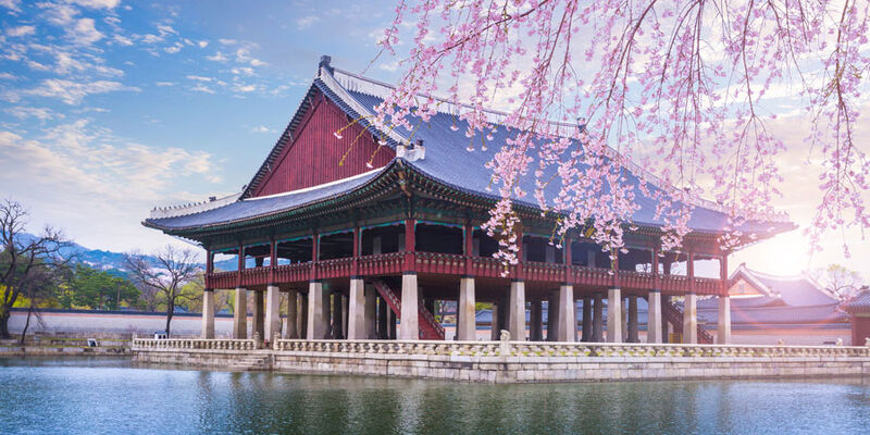 Sakura Dönemi Özel Japonya & Kore Turu Mistik Rotalar V3