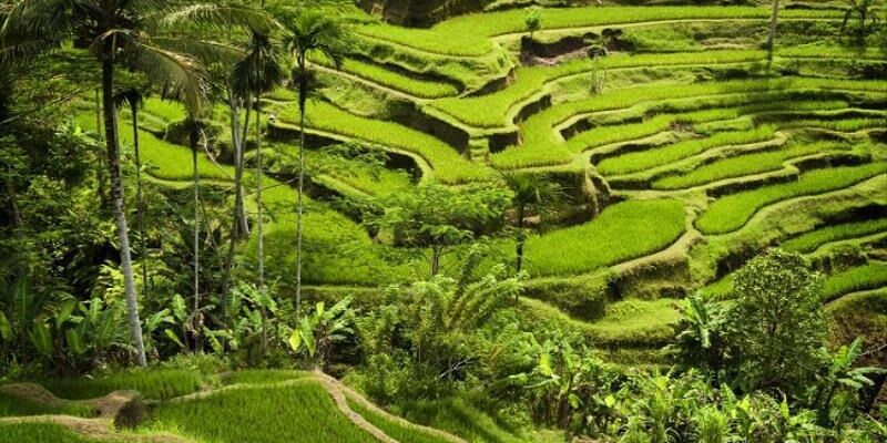 Fırsat Phuket & Singapur Turu Rotası (Tüm Turlar Dahil)