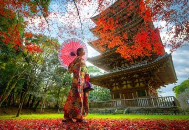 Güney Kore & Japonya & Hong Kong Turu Türk Hava Yolları ile 10 Gece