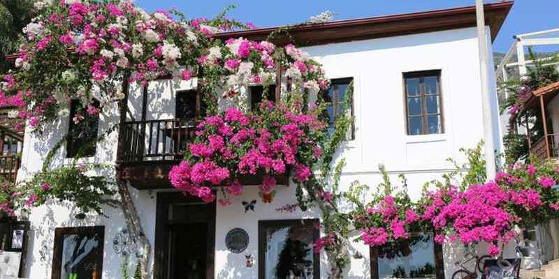 Kurban Bayramı Özel Ankara Çıkışlı Fethiye Gökova Dalyan Kekova Turu 4 Gece Otel Konaklamalı