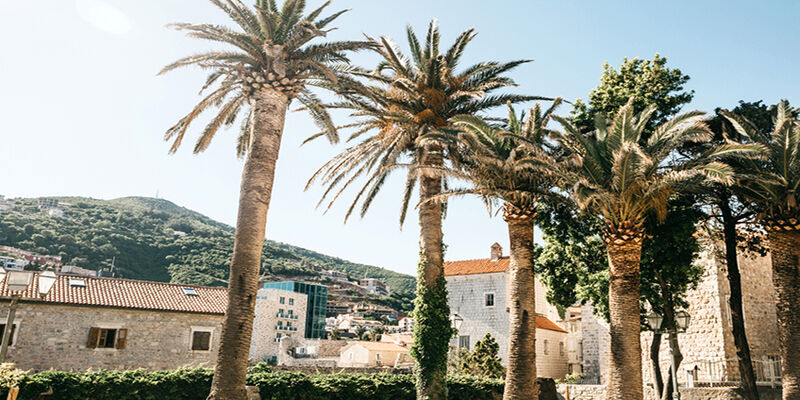 THY ile Budva Rotası Turu 4 Gece 5 Gün
