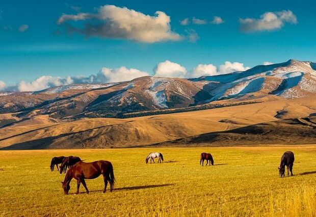 Antalya Çıkışlı İpek Yolu'nun İncileri Özbekistan & Kazakistan Rotası