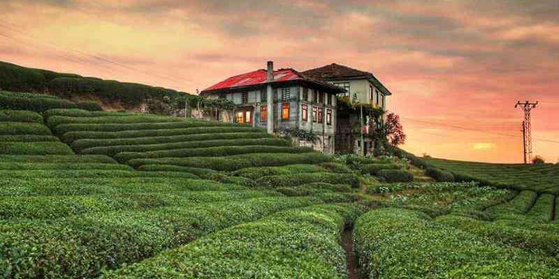 Ramazan Bayramı Özel Afyon Çıkışlı Karadeniz Rüyası ve Batum Turu 5 Gece Otel Konaklamalı (Batum Turu Dahil)