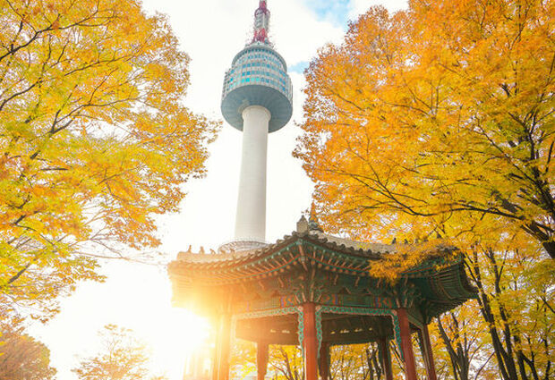 Japonya Kore Turu (11 Gece 12 Gün) (2025)