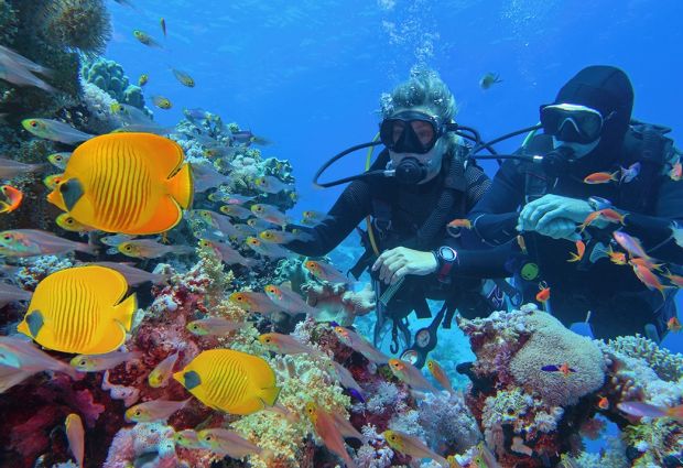 Mega Mısır ve İkonları Turu Pegasus Havayolları ile 7 gece