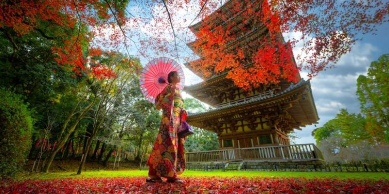 Güney Kore & Japonya & Hong Kong Turu Türk Hava Yolları ile 10 Gece