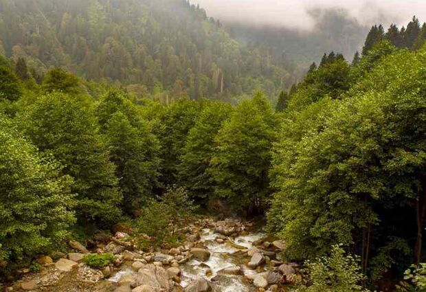 Bursa Çıkışlı Karadeniz ve Batum Turu 3 Gece Otel Konaklamalı