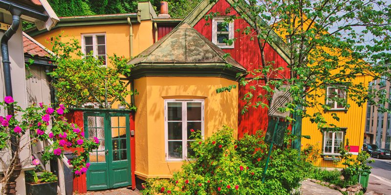 MSC Euribia ile İskandinavya & Norveç Fiyortları