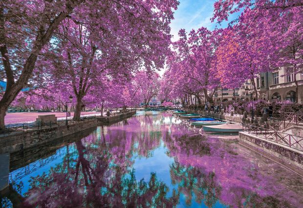 Bernina Express ile Bir Avrupa Masalı Turu Pegasus Havayolları ile 7 Gece