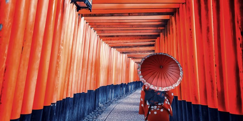 Fırsat Sakura Dönemi Japonya & Kore Turu V2 (Tüm Turlar Dahil)