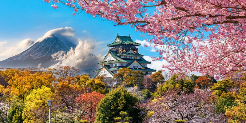 Fırsat Sakura Dönemi Japonya & Kore Turu V2