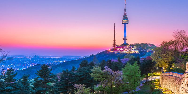 Fırsat Sakura Dönemi Japonya & Kore Turu V2