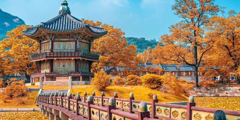 Fırsat Sakura Dönemi Japonya & Kore Turu V2