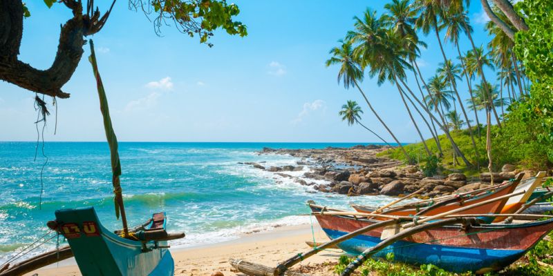 Elegant Sri Lanka Turu - THY ile