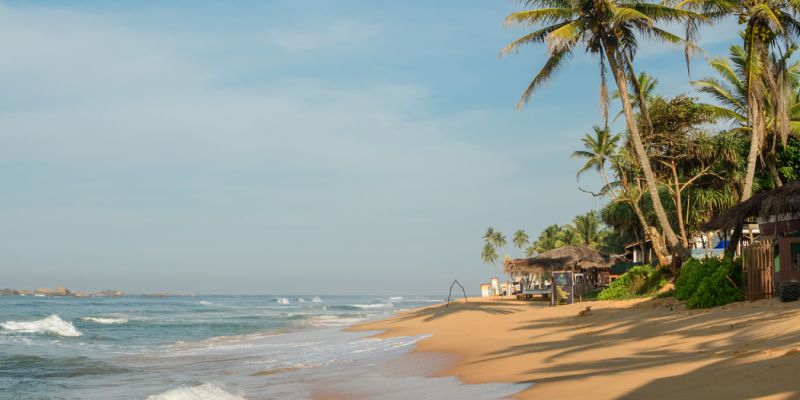 Elegant Sri Lanka Turu - THY ile