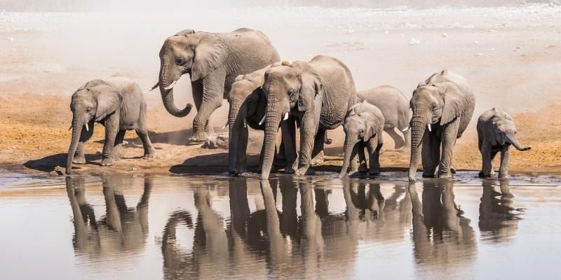 Dolu Dolu Kenya Safari Turu Rotası