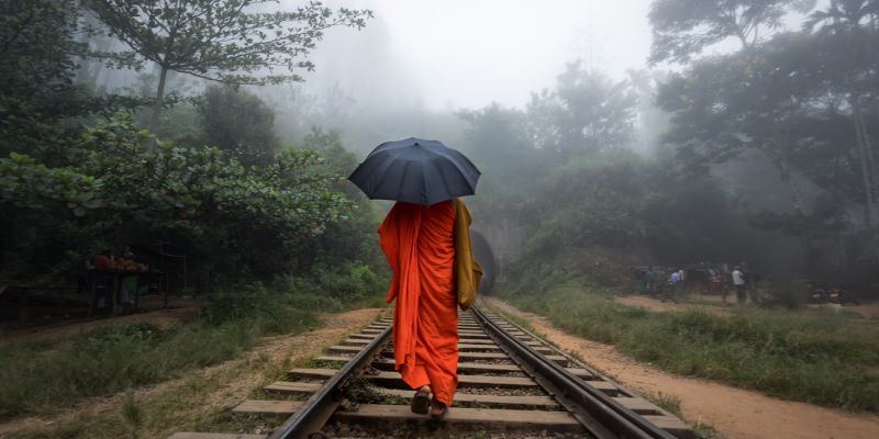 Sri Lanka Turu Türk Havayolları İle 6 Gece 8 Gün