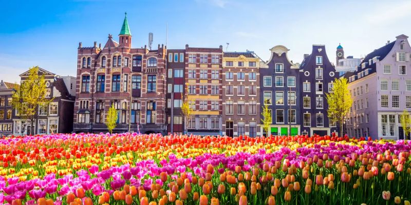 Elegant Benelux & Paris & Alsace Turu - AJet Havayolları ile - 7 Gece 8 Gün (CGN-BSL)