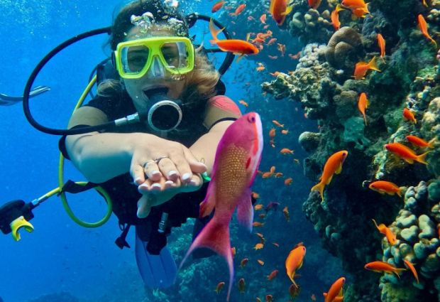 İstanbul Çıkışlı Sharm El Sheikh Masalı Ajet Havayolları ile 3 Gece