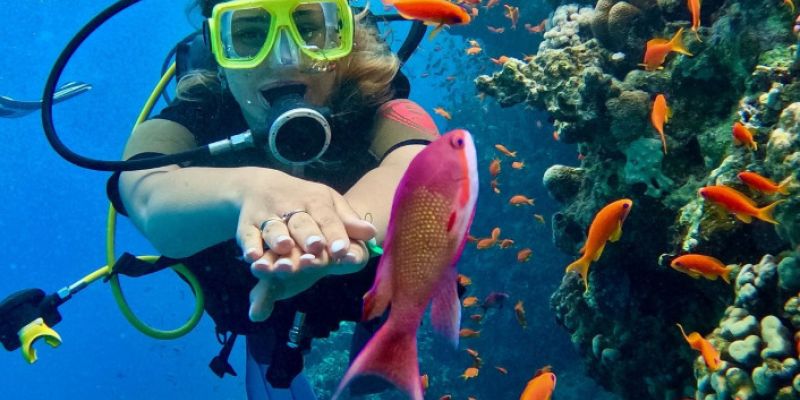 Kurban Bayramı Özel İstanbul Çıkışlı Sharm El Sheikh Masalı Ajet Havayolları ile 3 Gece