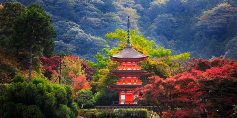 Grand Japonya Kore Türk Havayolları ile Ekstra Tur Yok - Tüm Turlar Dahil