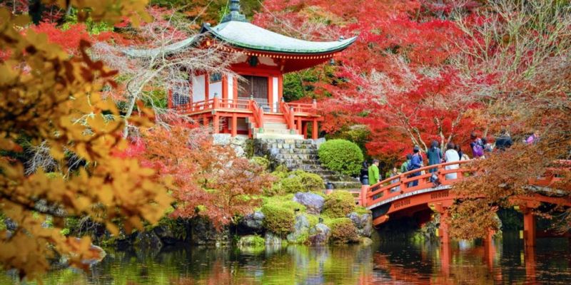 Güney Kore & Japonya & Hong Kong Türk Havayolları ile 10 Gece