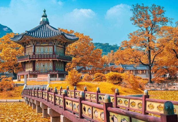 Güney Kore & Japonya & Hong Kong Türk Havayolları ile 10 Gece