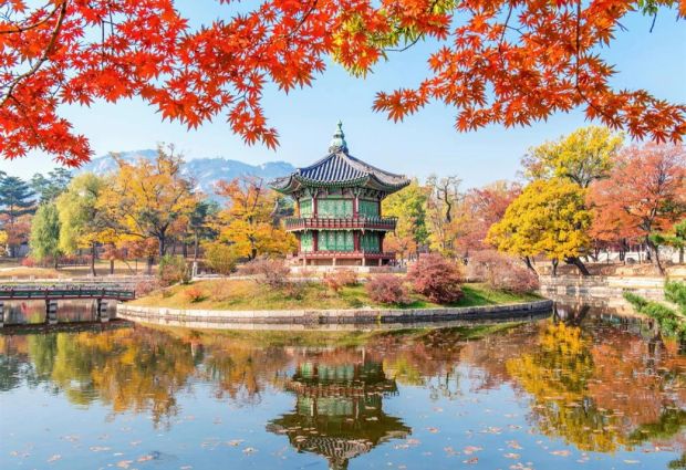 Güney Kore & Japonya & Hong Kong Türk Havayolları ile 10 Gece