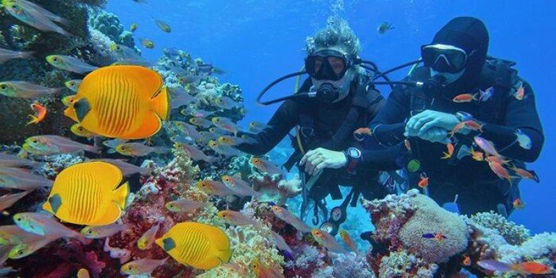 Adana'dan Sharm El Sheikh & Kahire & İskenderiye Turu Türk Havayolları ile 3 Gece