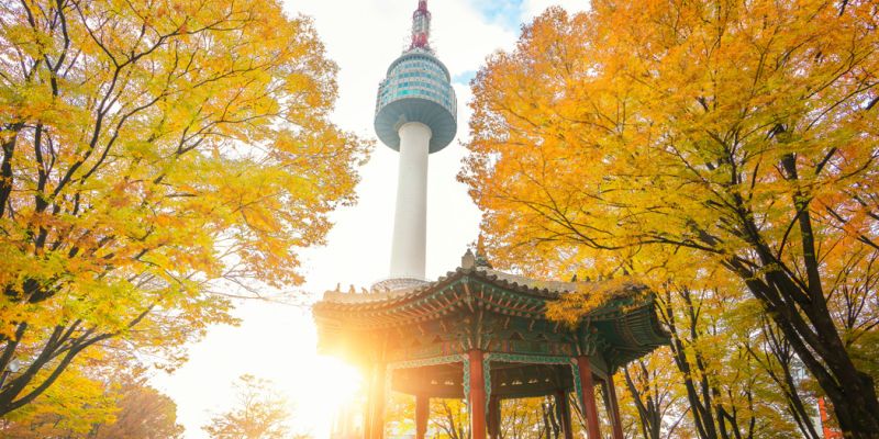 Mega Japonya & Güney Kore Turu Türk Hava Yolları ile 10 Gece