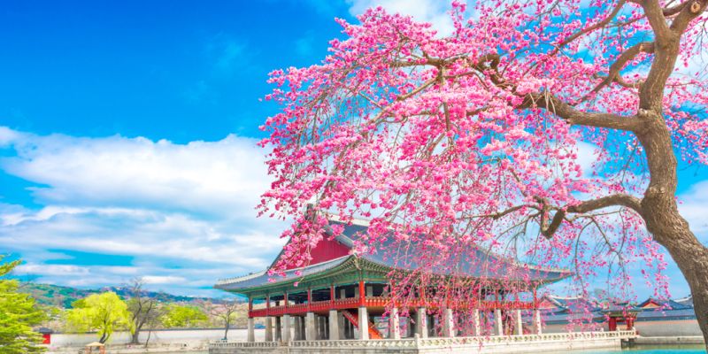 Mega Japonya & Güney Kore Turu Türk Hava Yolları ile 10 Gece