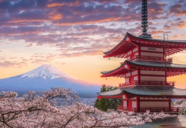 Comfort Japonya Turu Türk Hava Yolları ile 6 Gece Ekstra Turlar Dahil ve Çay Seremonisi Dahil NRT-KIX 2026