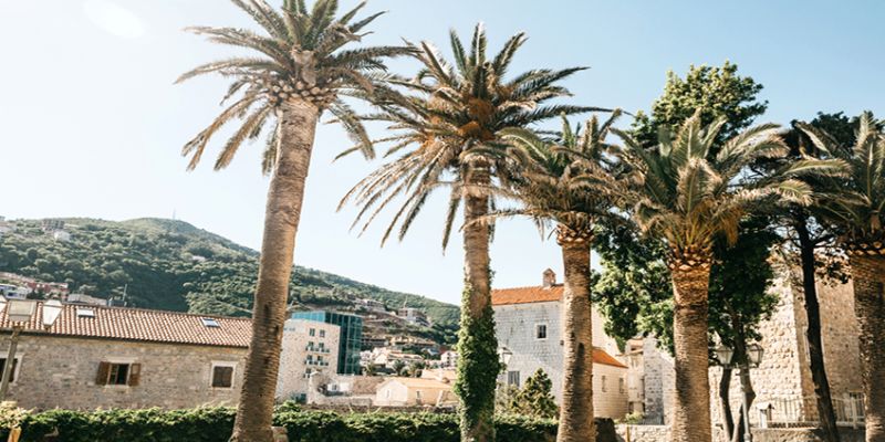 İstanbul'dan Türk Havayolları ile Budva Turu 4 Gece 5 Gün