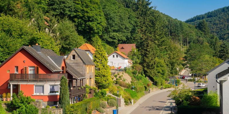 Viva Benelüx Paris Alsace ve İsviçre Turu 6 Gece 7 Gün