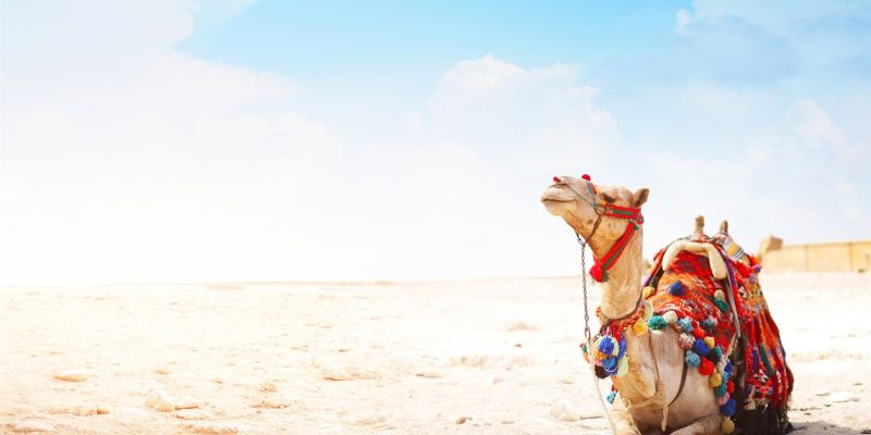 Elegant Fas & Atlantik Kıyıları Air Arabia Havayolları ile 4 Gece 5 Gün