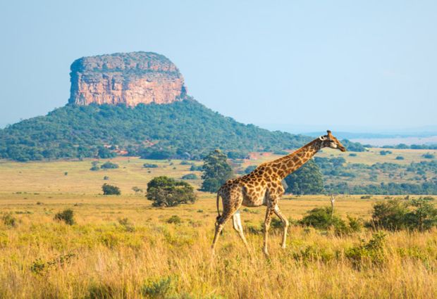 Muhteşem Güney Afrika Turu Vizesiz 6 Gece 9 Gün