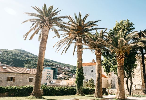 Adriyatik Kıyıları Budva Turu AJet Hava Yolları ile 6 Gece 7 Gün