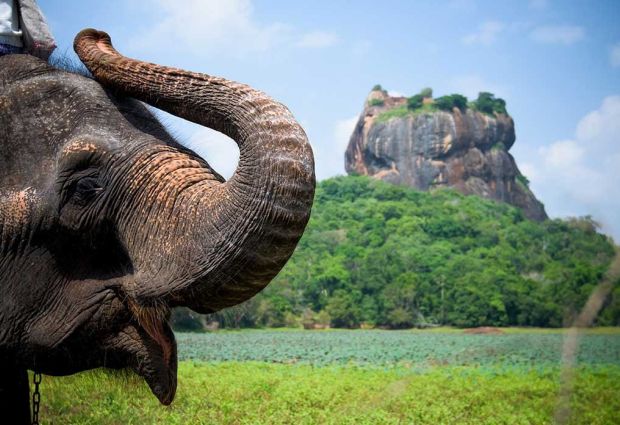 Elegant Sri Lanka Turu Türk Havayolları ile 6 Gece