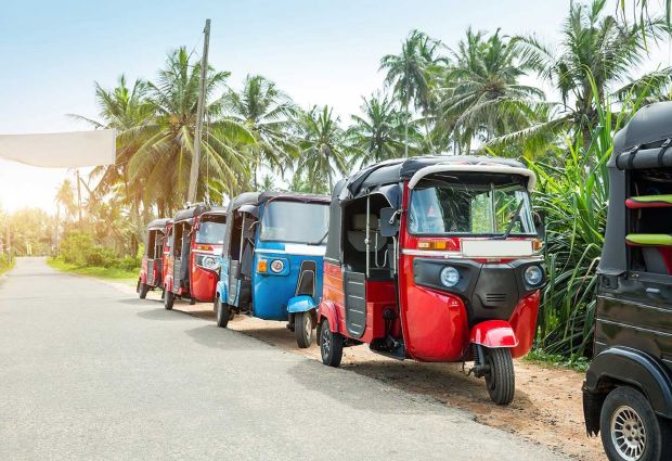 Elegant Sri Lanka Turu Türk Havayolları ile 6 Gece
