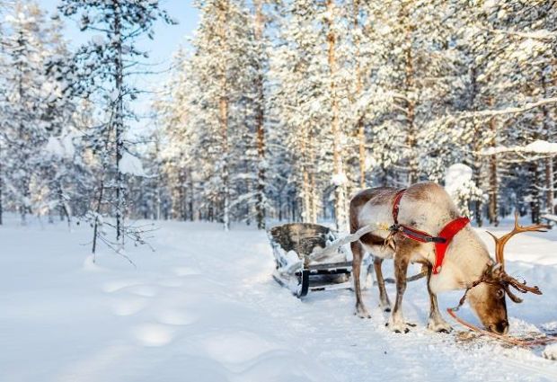 Dolu Dolu Lapland Turu Beyaz Rotalar (3 Gece - Olof Hotel)