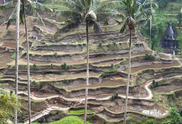 Comfort Ubud ve Bali Turu THY ile 6 Gece Ekstra Turlar Dahil