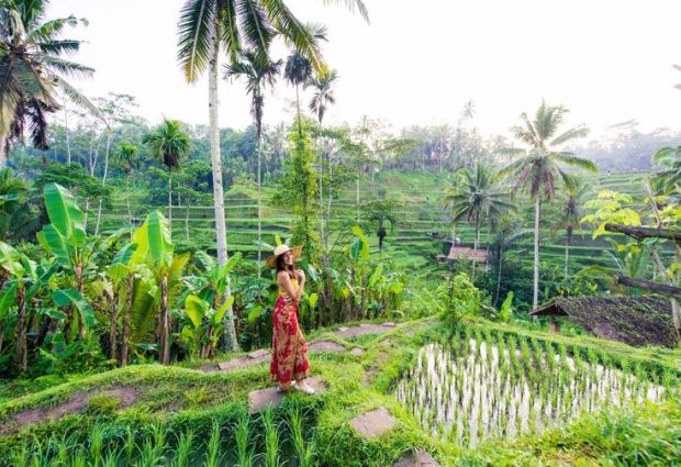 Harikalar Diyarı Bali - Ubud Turu Rotası