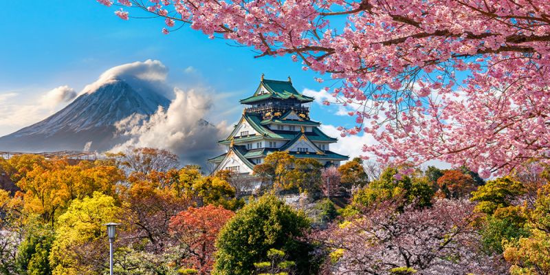 Comfort Japonya & Kore Turu Qatar Hava Yolları ile 7 Gece Ekstra Turlar Dahil (ICN-NRT)