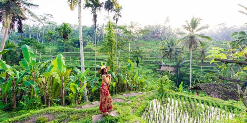 Comfort Ubud & Bali Turu Emirates Havayolları ile 6 Gece Ekstra Turlar Dahil DPS-DPS