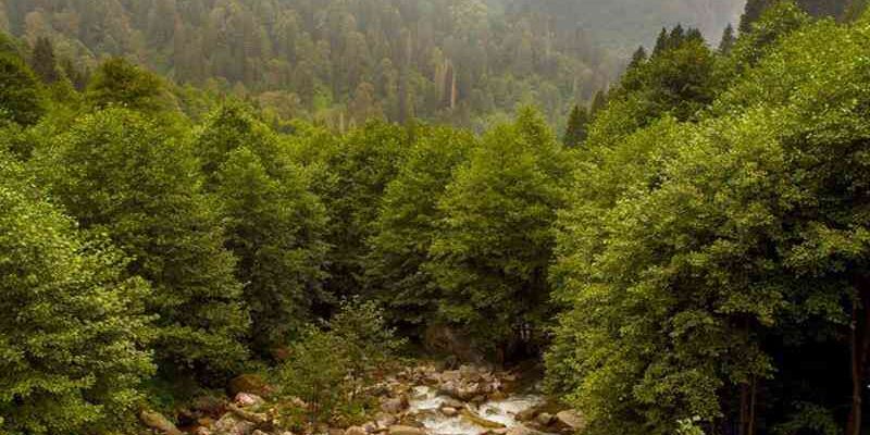 Bursa Çıkışlı Karadeniz Rüyası ve Batum Turu 5 Gece Otel Konaklaması