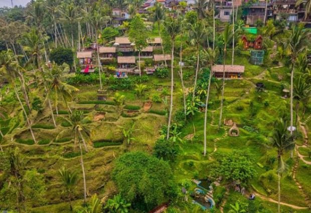 Comfort Ubud Bali Turu Emirates ile 5 Gece Ekstra Turlar Dahil