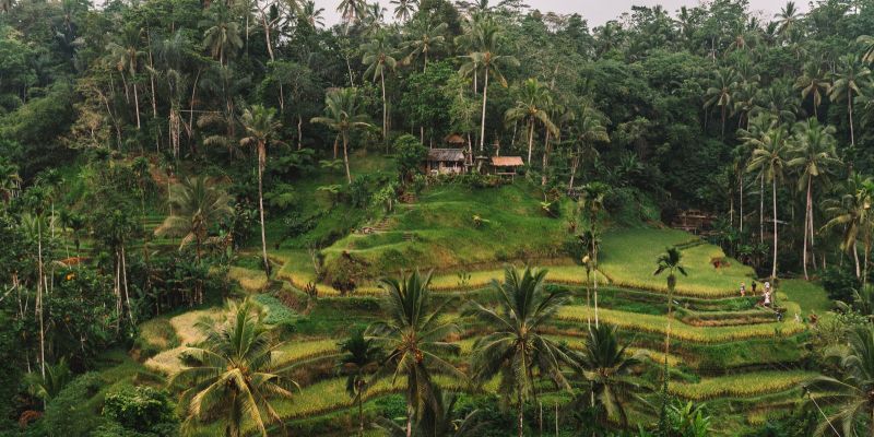 Comfort Ubud ve Bali Turu THY ile 6 Gece Ekstra Turlar Dahil